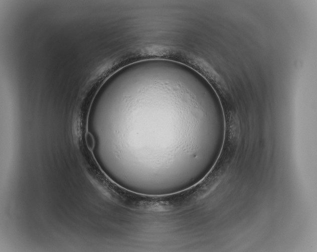 X0000112720683200908271408