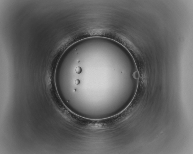 X0000112720687200908271408