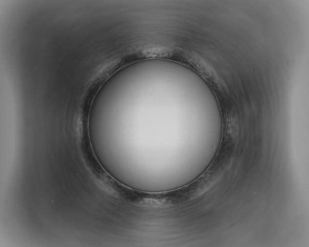 X0000112720690200908271408