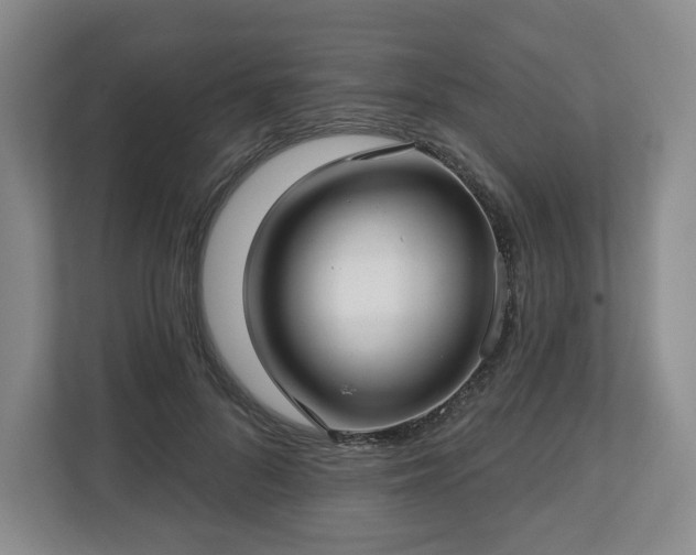 X0000112720696200908271408