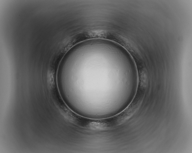 X0000112720699200908271408