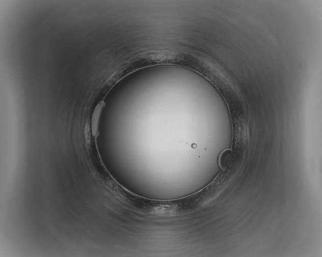 X0000112720700200908271408