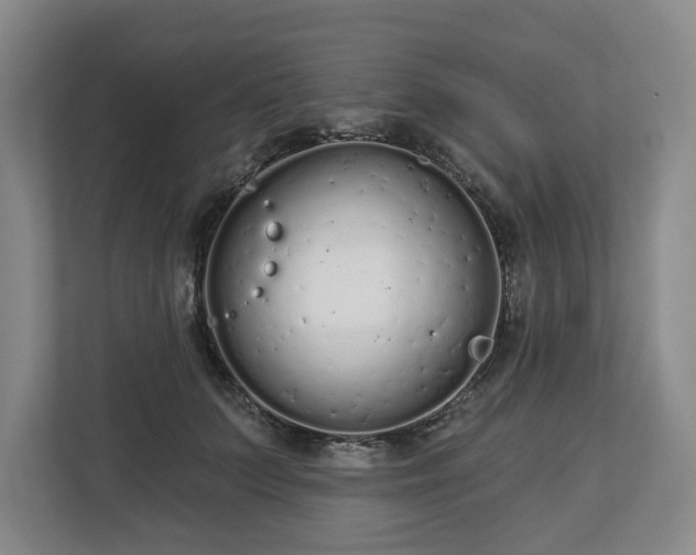 X0000112720703200908271407