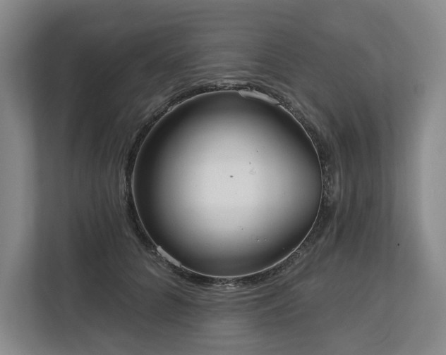 X0000112720704200908271407