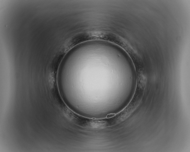 X0000112720707200908271407