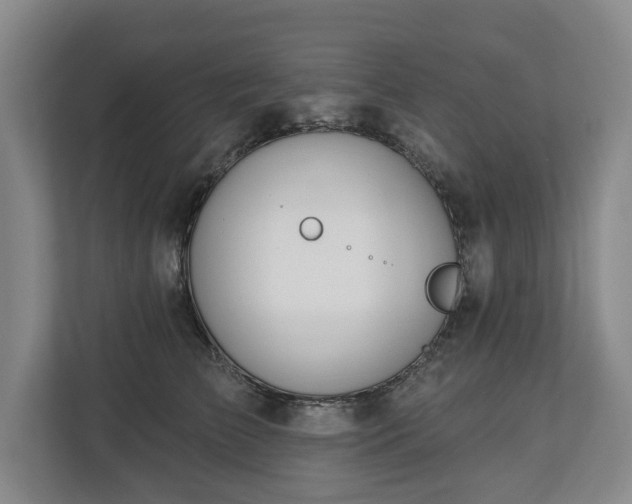 X0000112720709200908271407