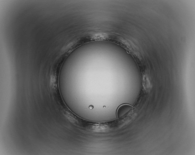 X0000112720714200908271407