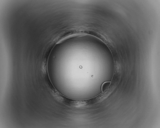 X0000112720719200908271407