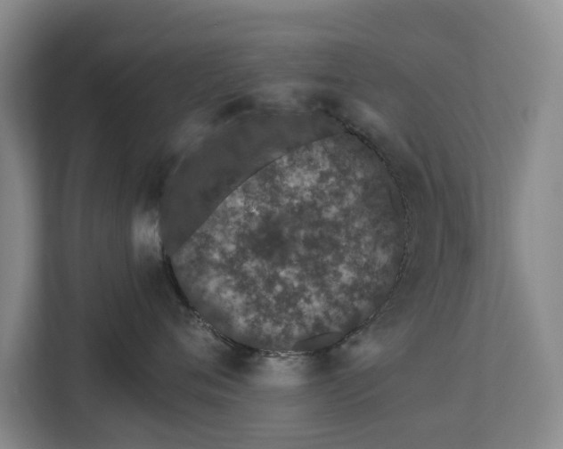 X0000112720720200908271407