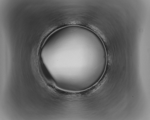 X0000112720721200908271406