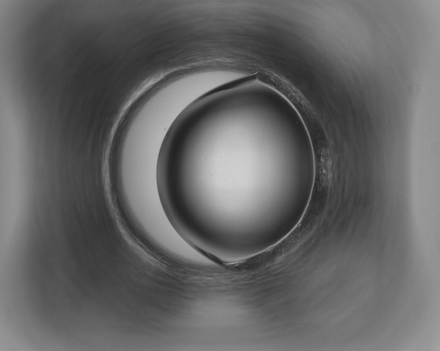 X0000112720726200908271406