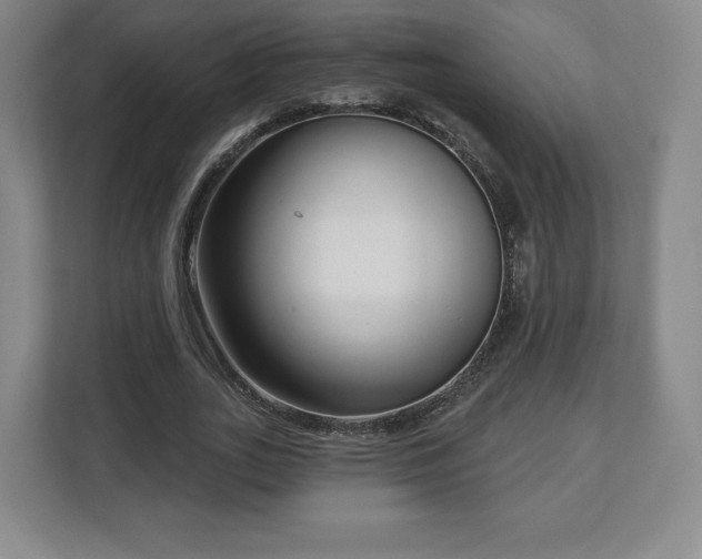 X0000112720727200908271406