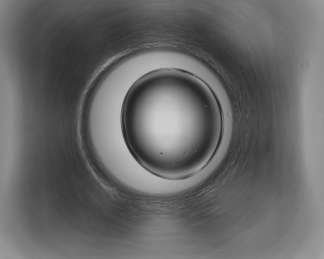 X0000112720728200908271406