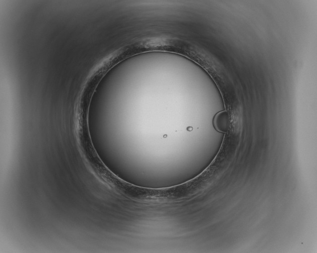 X0000112720732200908271407