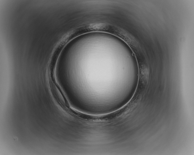 X0000112720734200908271407