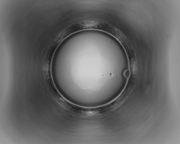 X0000112720737200908271407