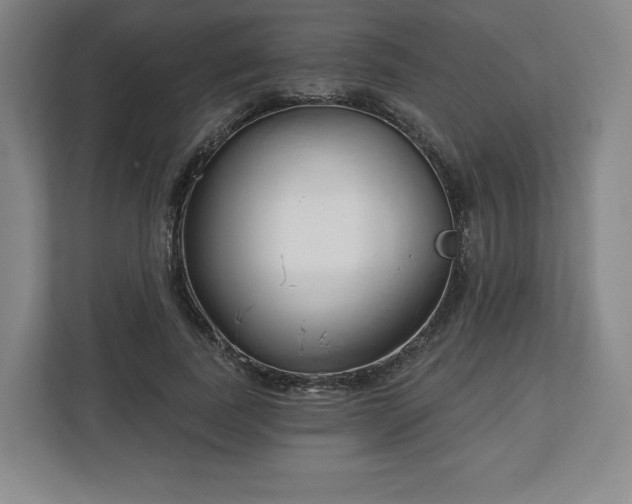 X0000112720739200908271407