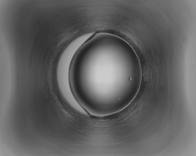 X0000112720740200908271407