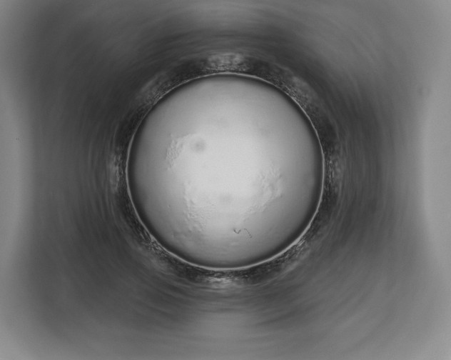 X0000112720741200908271407