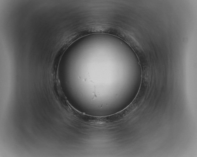 X0000112720743200908271407