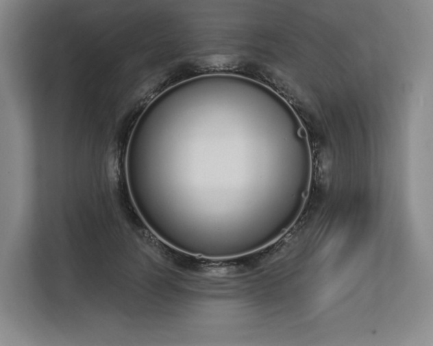 X0000112720746200908271407