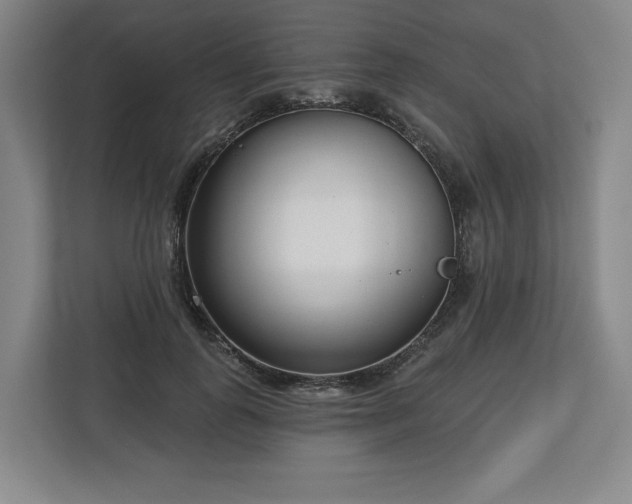 X0000112720747200908271407