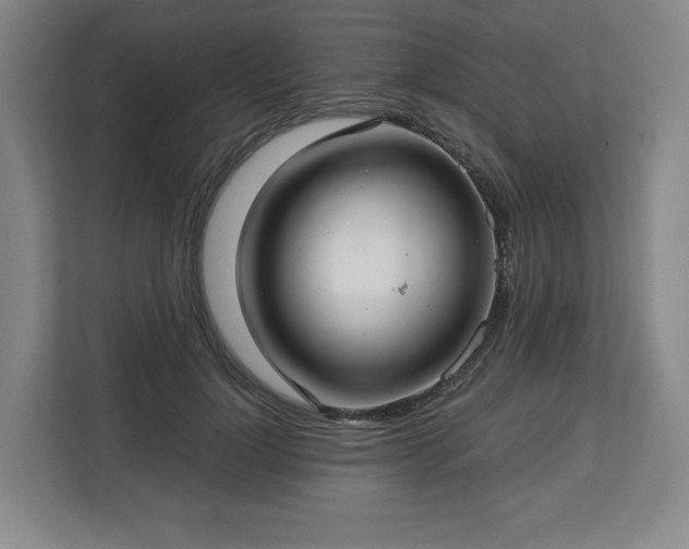 X0000112720748200908271407