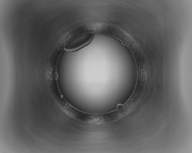 X0000112720750200908271407