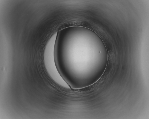 X0000112720752200908271407