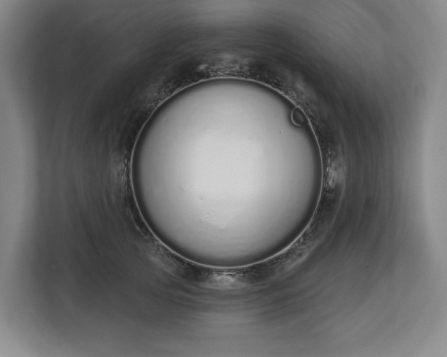 X0000112720753200908271407