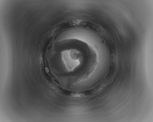 X0000112720754200908271407