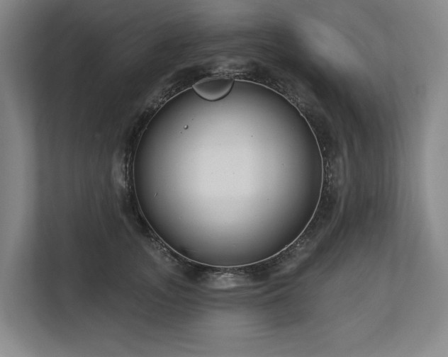 X0000112720755200908271407