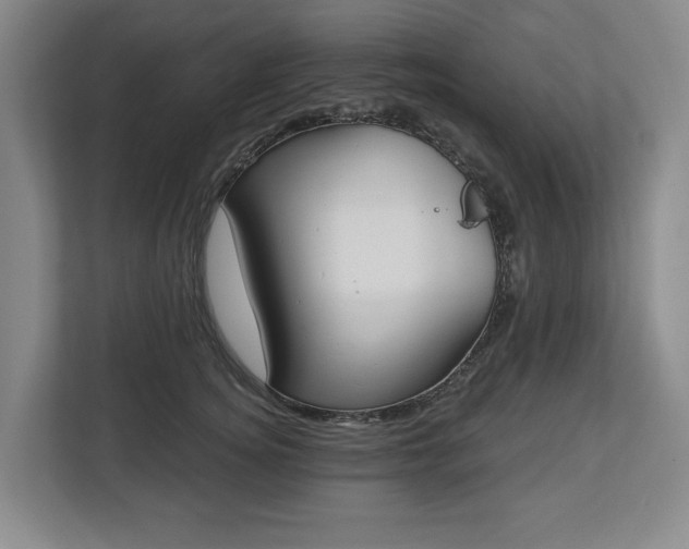 X0000112720756200908271407