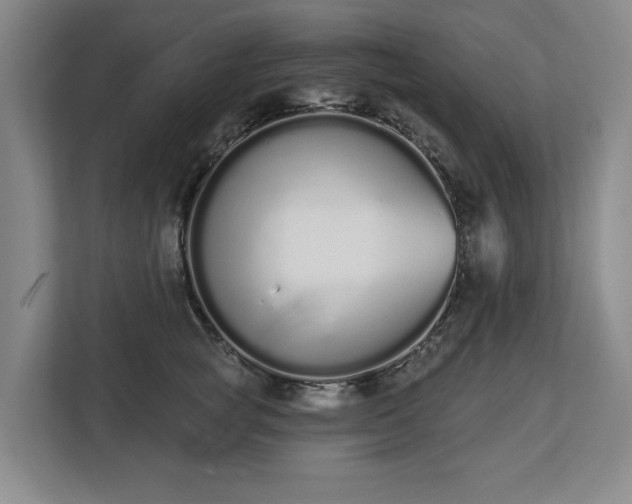 X0000112720757200908271407