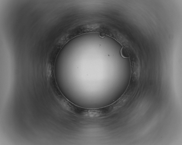 X0000112720758200908271407