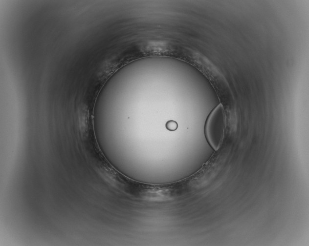 X0000112720760200908271407