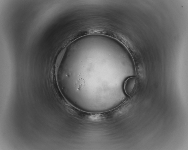 X0000112720761200908271407