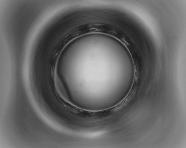 X0000112720765200908271407