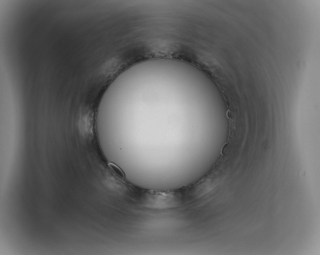 X0000112720768200908271407