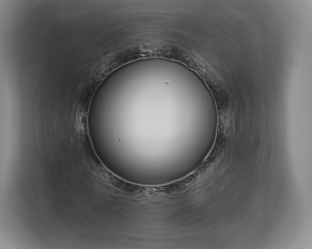 X0000112720770200908271406