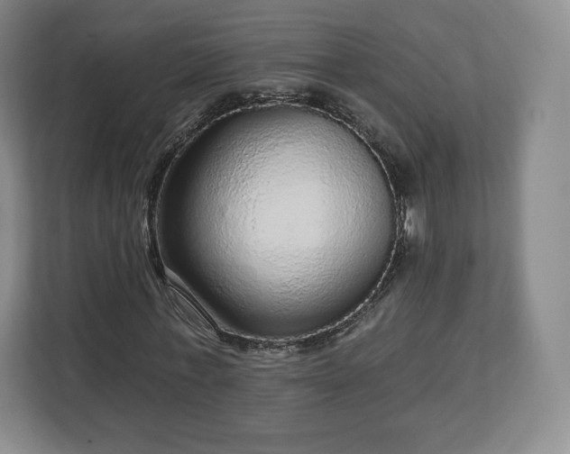 X0000112720771200908271406