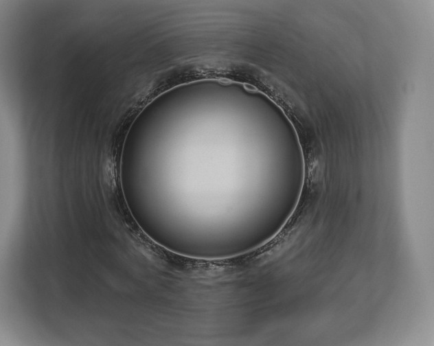 X0000112720772200908271406