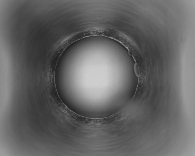 X0000112720773200908271406