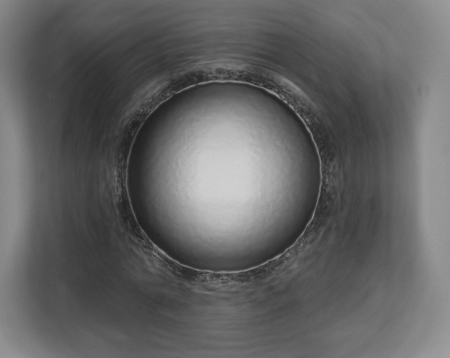 X0000112720774200908271406