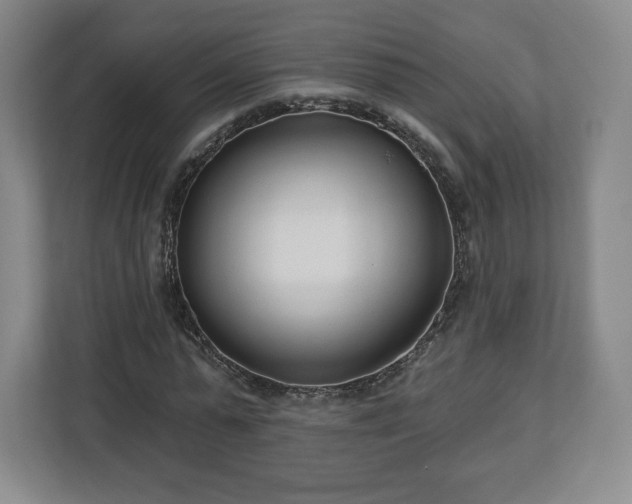 X0000112720775200908271406