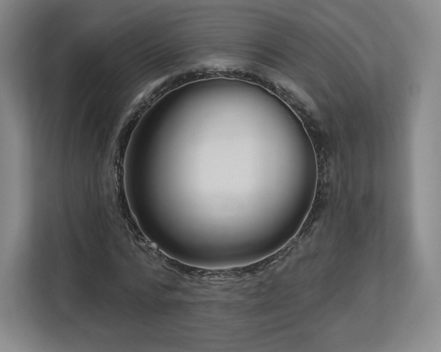 X0000112720776200908271406