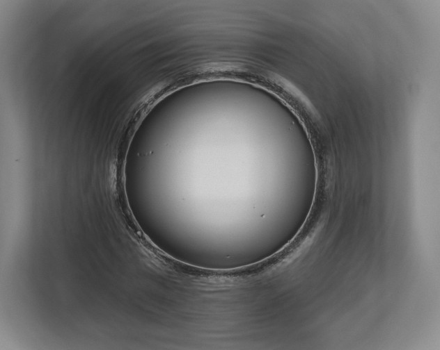 X0000112720777200908271406