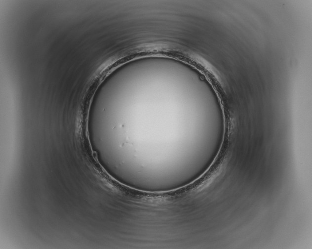 X0000112720778200908271406