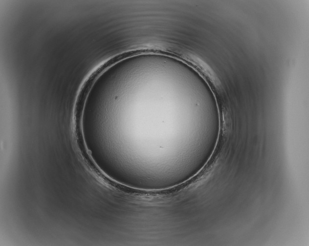 X0000112720780200908271406