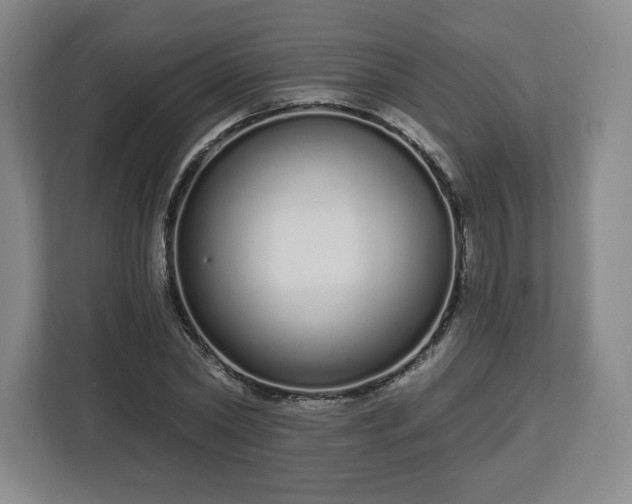 X0000112720782200908271406